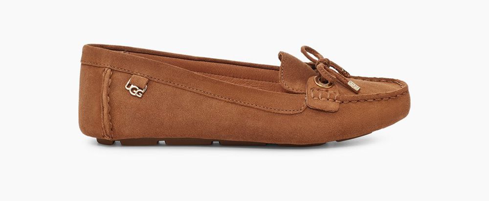 Ugg Loafer Womens - Ugg Eevon Brown - 145LFKDHC